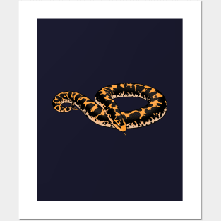 Normal Kenyan Sand Boa Posters and Art